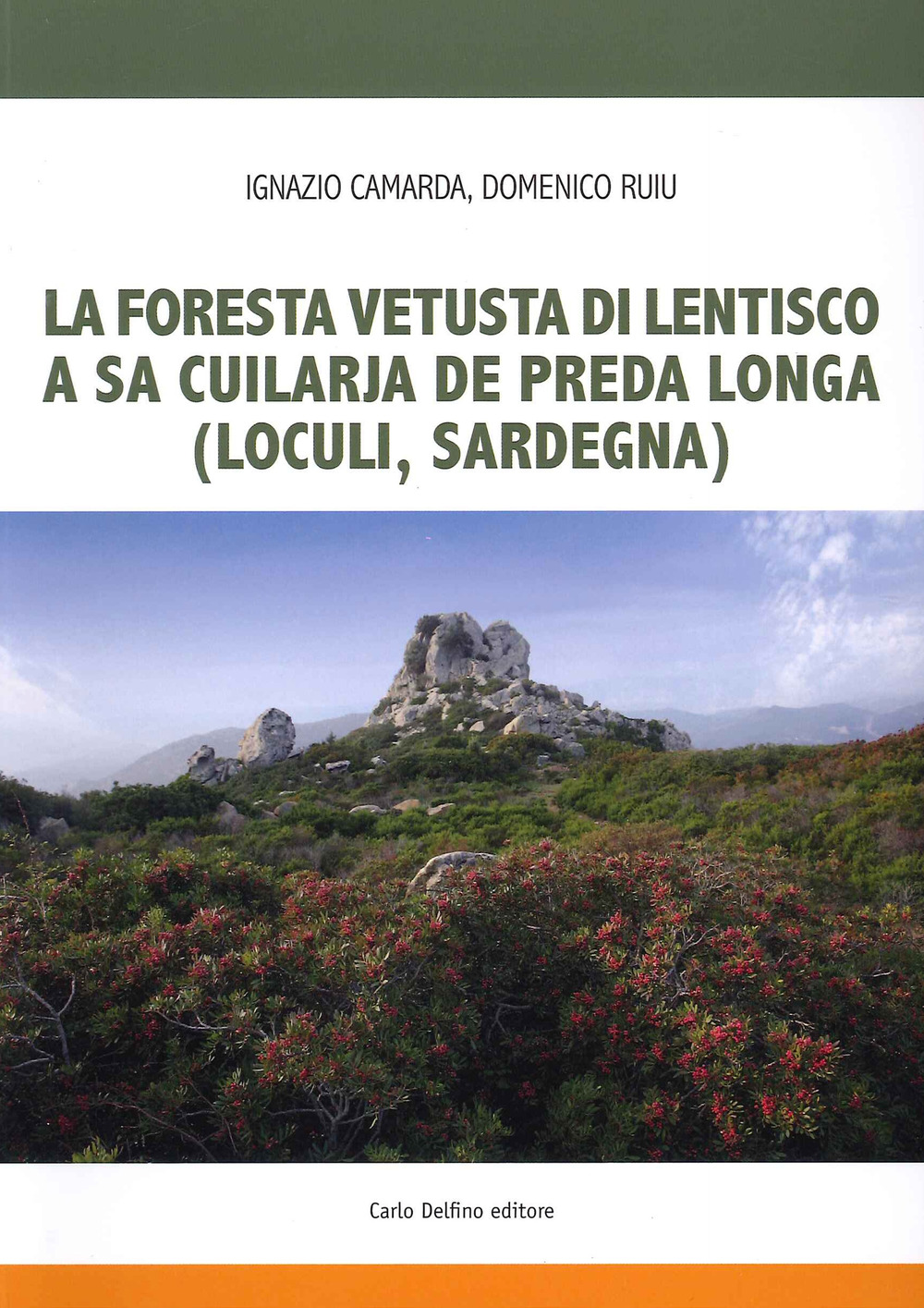 La foresta fetusta di lentisco a sa Cuilarja de Preda Longa (Loculi-Sardegna)