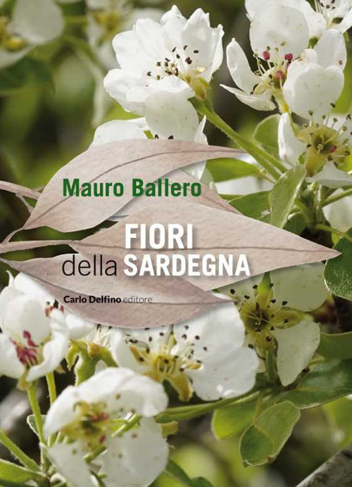 Fiori della Sardegna