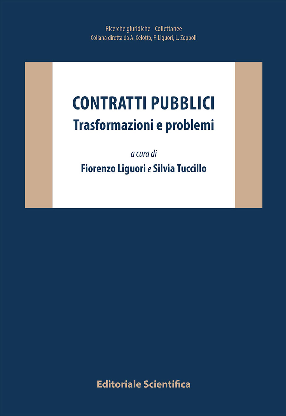 Contratti pubblici. Trasformazioni e problemi