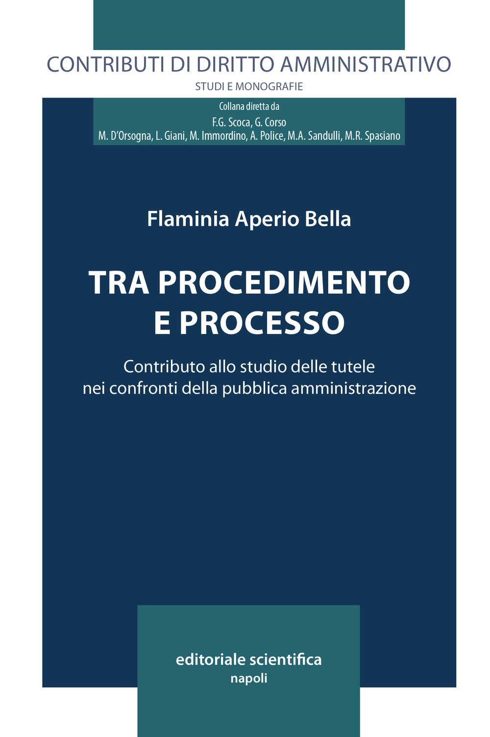 Tra procedimento e processo. Contributo allo studio delle tutele nei confronti delle pubblica amministrazione