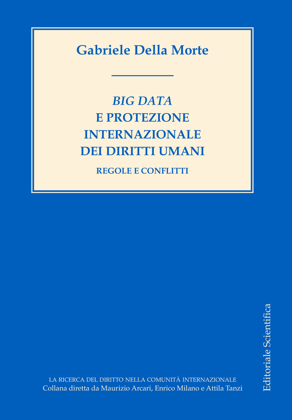 Big data e protezione internazionale dei diritti umani. Regole e conflitti