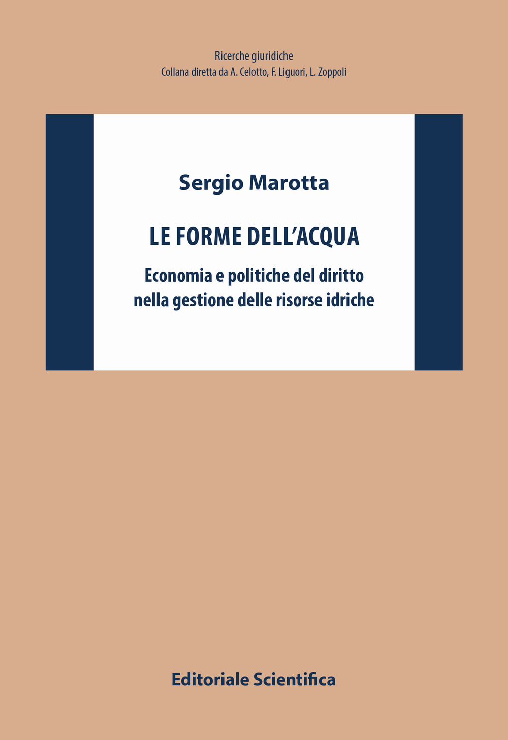 Le forme dell'acqua. Economia e politiche del diritto nella gestione delle risorse idriche