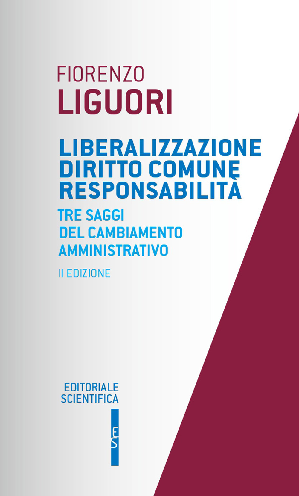 Liberalizzazione diritto comune responsabilità. Tre saggi del cambiamento amministrativo