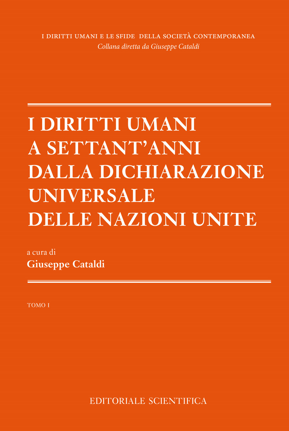 I diritti umani a settant'anni dalla dichiarazione universale delle Nazioni unite. Vol. 1