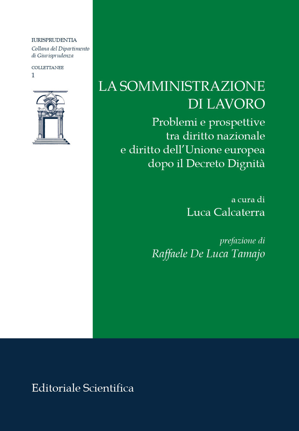 La somministrazione di lavoro. Problemi e prospettive tra diritto nazionale e diritto dell'Unione europea dopo il Decreto Dignità