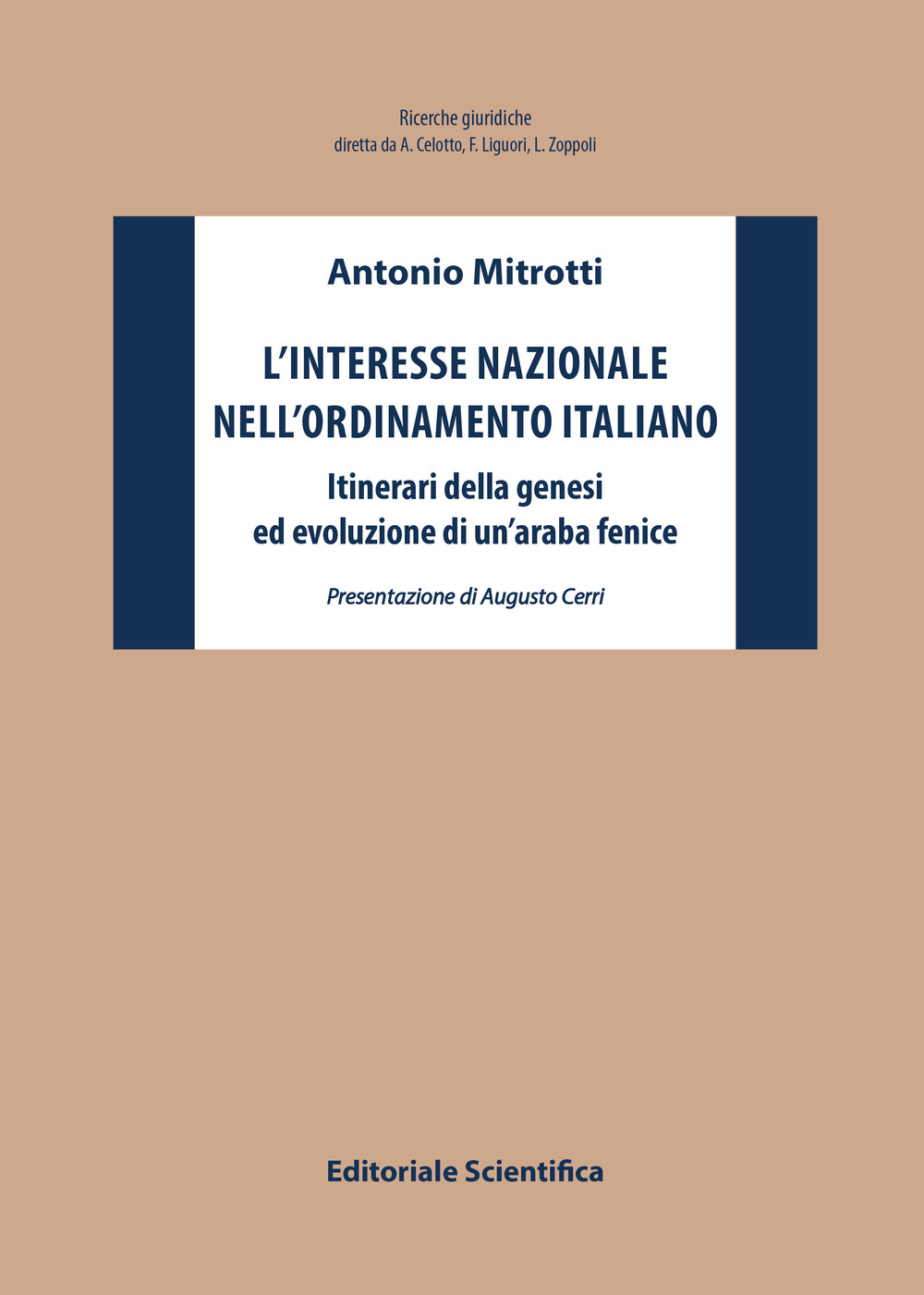 L'interesse nazionale nell'ordinamento italiano. Itinerari della genesi ed evoluzione di un'araba fenice