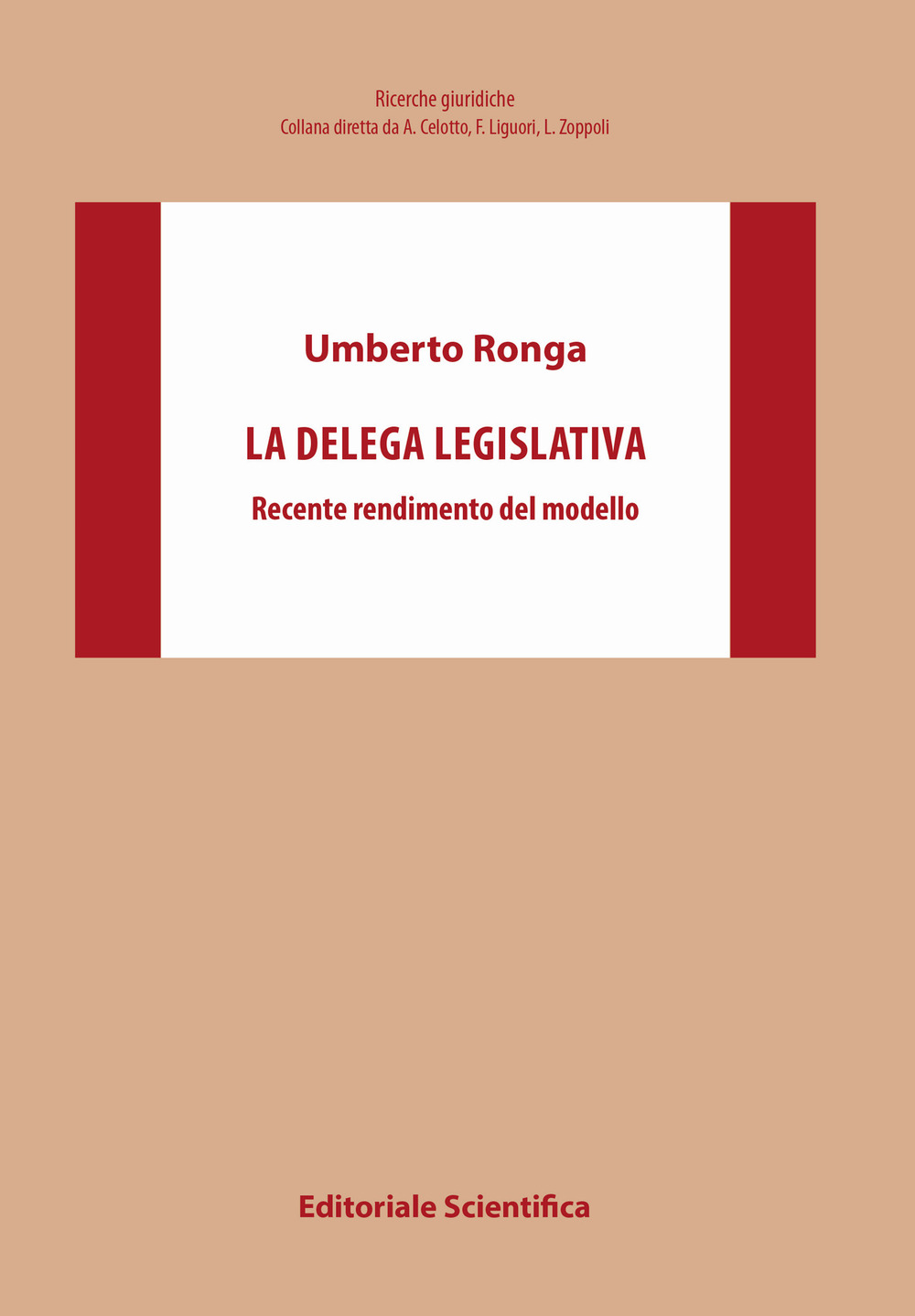 La delega legislativa. Recente rendimento del modello