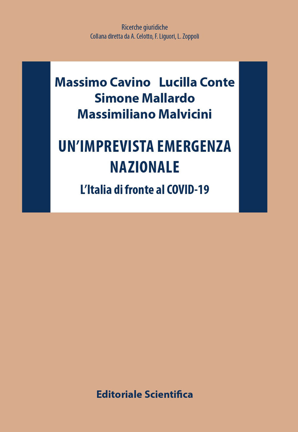 Un'imprevista emergenza nazionale. L'italia di fronte al COVID-19