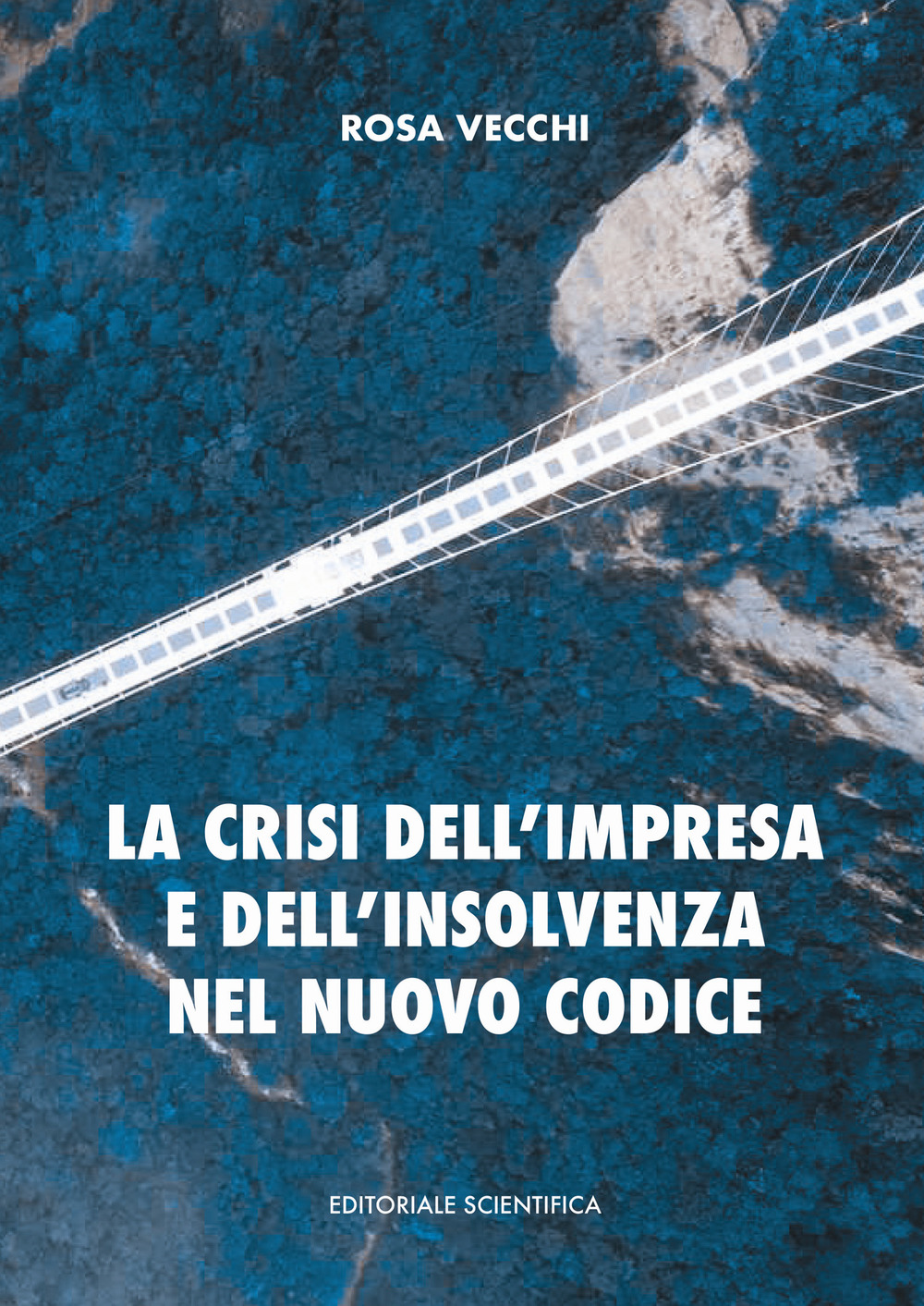 La crisi dell'impresa e dell'insolvenza nel nuovo codice