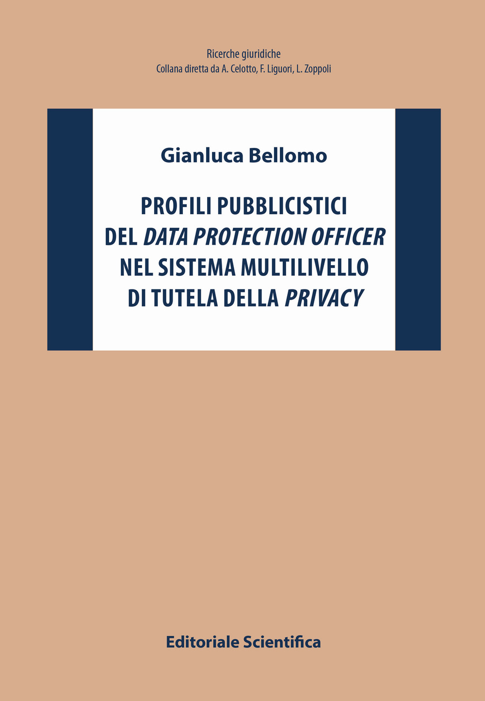 Profili pubblicistici del data protection officer nel sistema multilivello di tutela della privacy