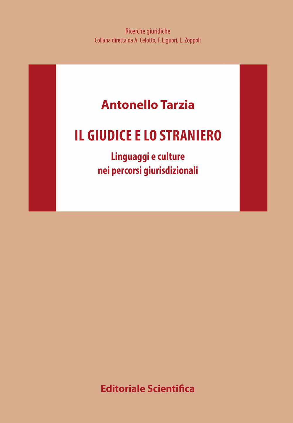 Il giudice e lo straniero. Linguaggi e culture nei percorsi giurisdizionali