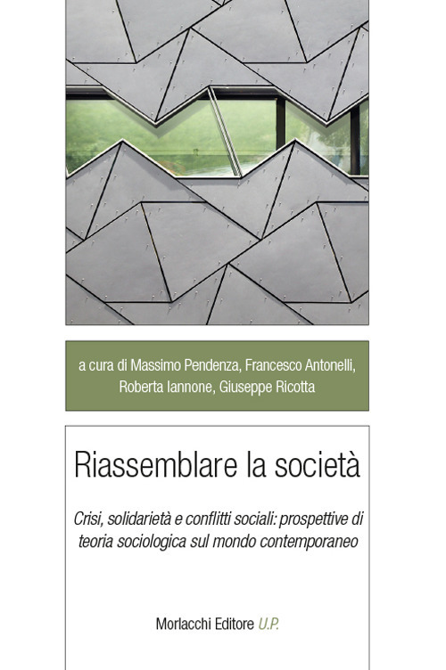 Riassemblare la società. Crisi, solidarietà e conflitti sociali: prospettive di teoria sociologica sul mondo contemporaneo