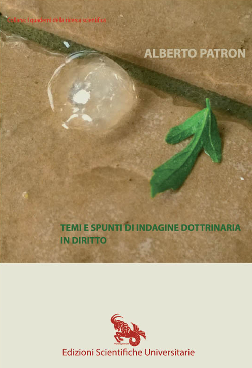 Temi e spunti di indagine dottrinaria in diritto