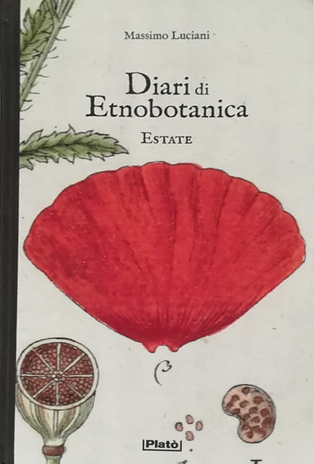 Diari di etnobotanica. Estate