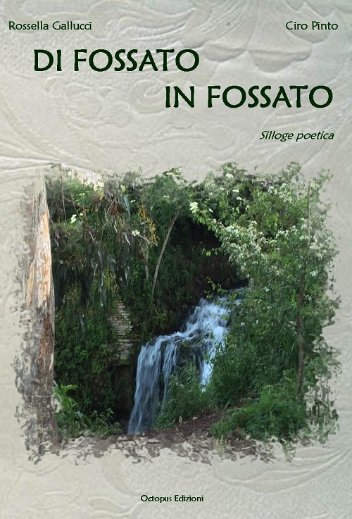 Di fossato in fossato. Silloge poetica