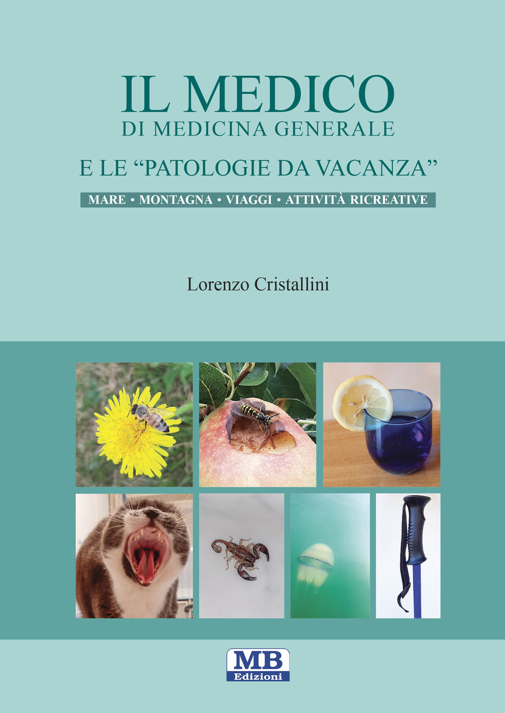 Il medico di medicina generale e le patologie da vacanza. Mare montagna viaggi attività ricreative. Ediz. illustrata