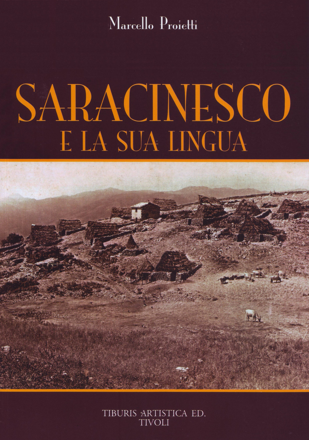 Saracinesco e la sua lingua. Vocabolario, espressioni idiomatiche, soprannomi, toponimi