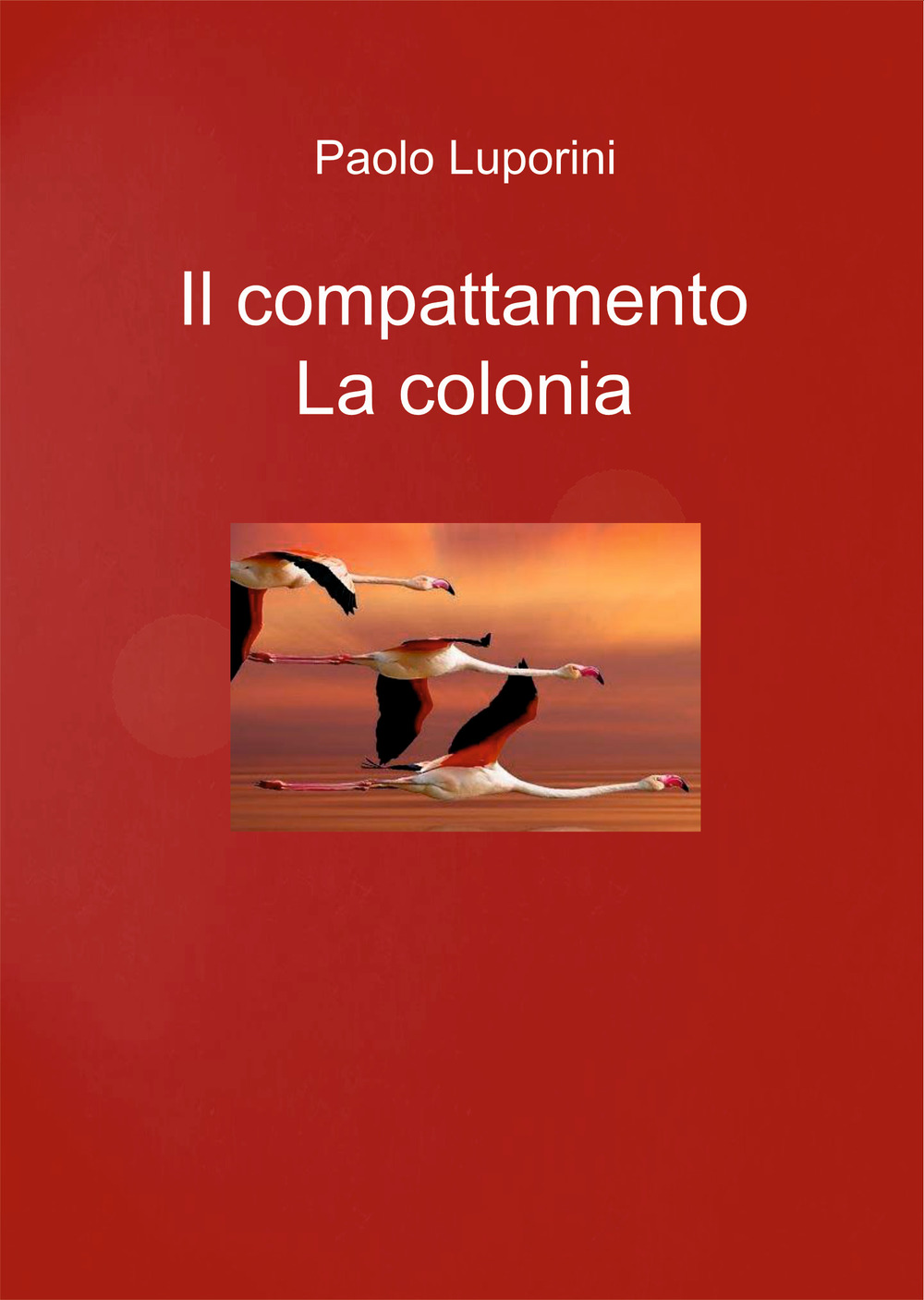 Il compattamento. La colonia