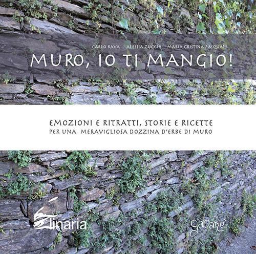 Muro, io ti mangio! Emozioni e ritratti, storie e ricette per una meravigliosa dozzina d'erbe di muro