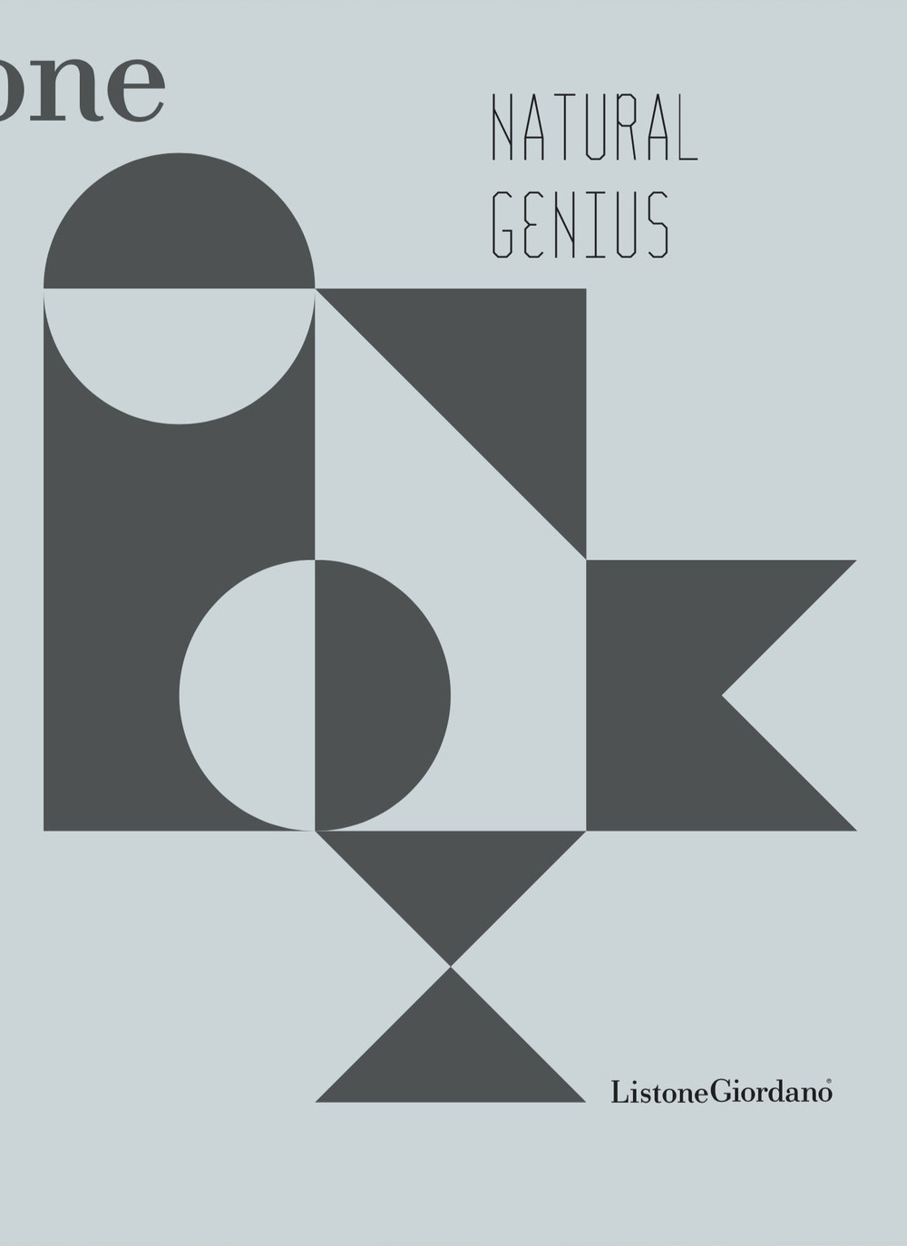 Natural genius. Index. Ediz. inglese e italiana