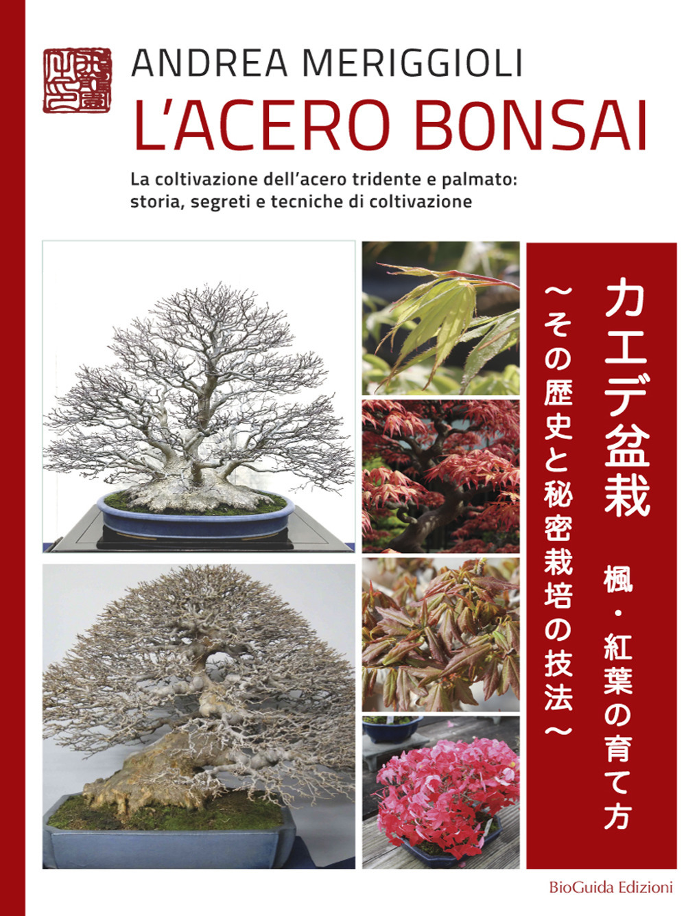 L'acero bonsai. La coltivazione dell'acero tridente e palmato: storia, segreti e tecniche di coltivazione