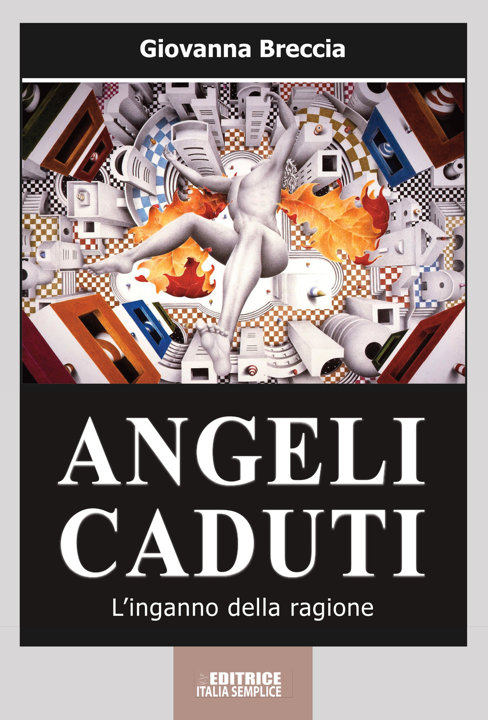 Angeli caduti. L'inganno della ragione. Nuova ediz.