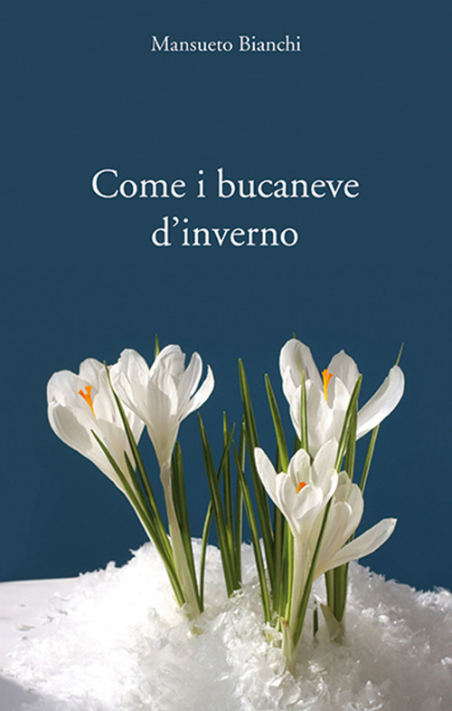 Come i bucaneve d'inverno