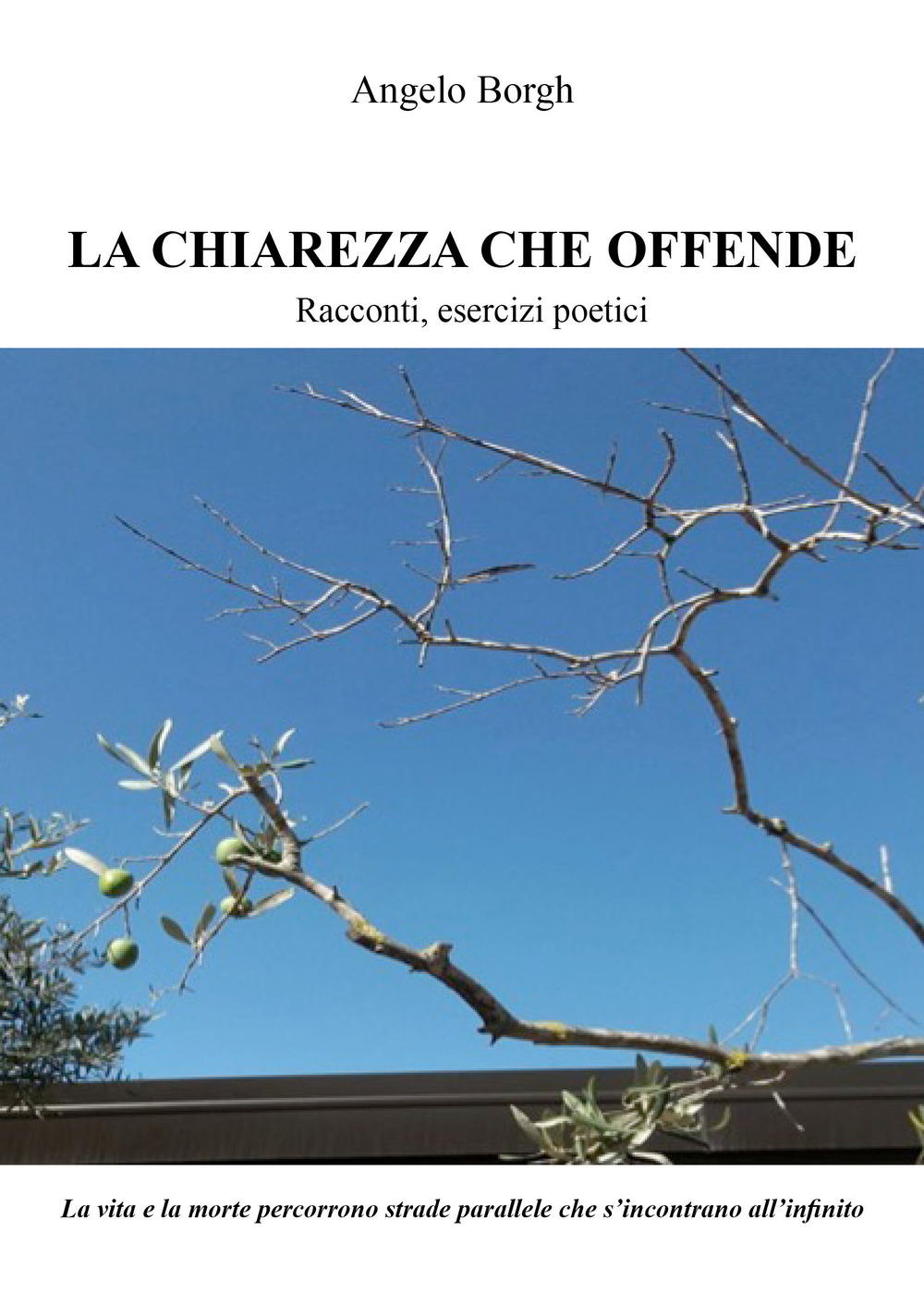 La chiarezza che offende. Racconti, esercizi poetici. Nuova ediz.