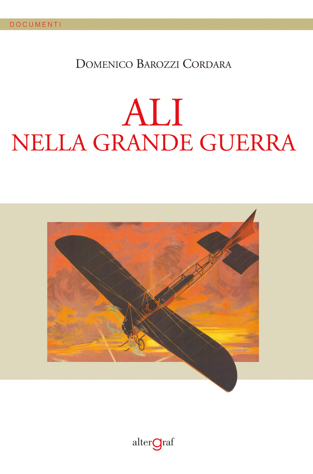 Ali nella Grande Guerra