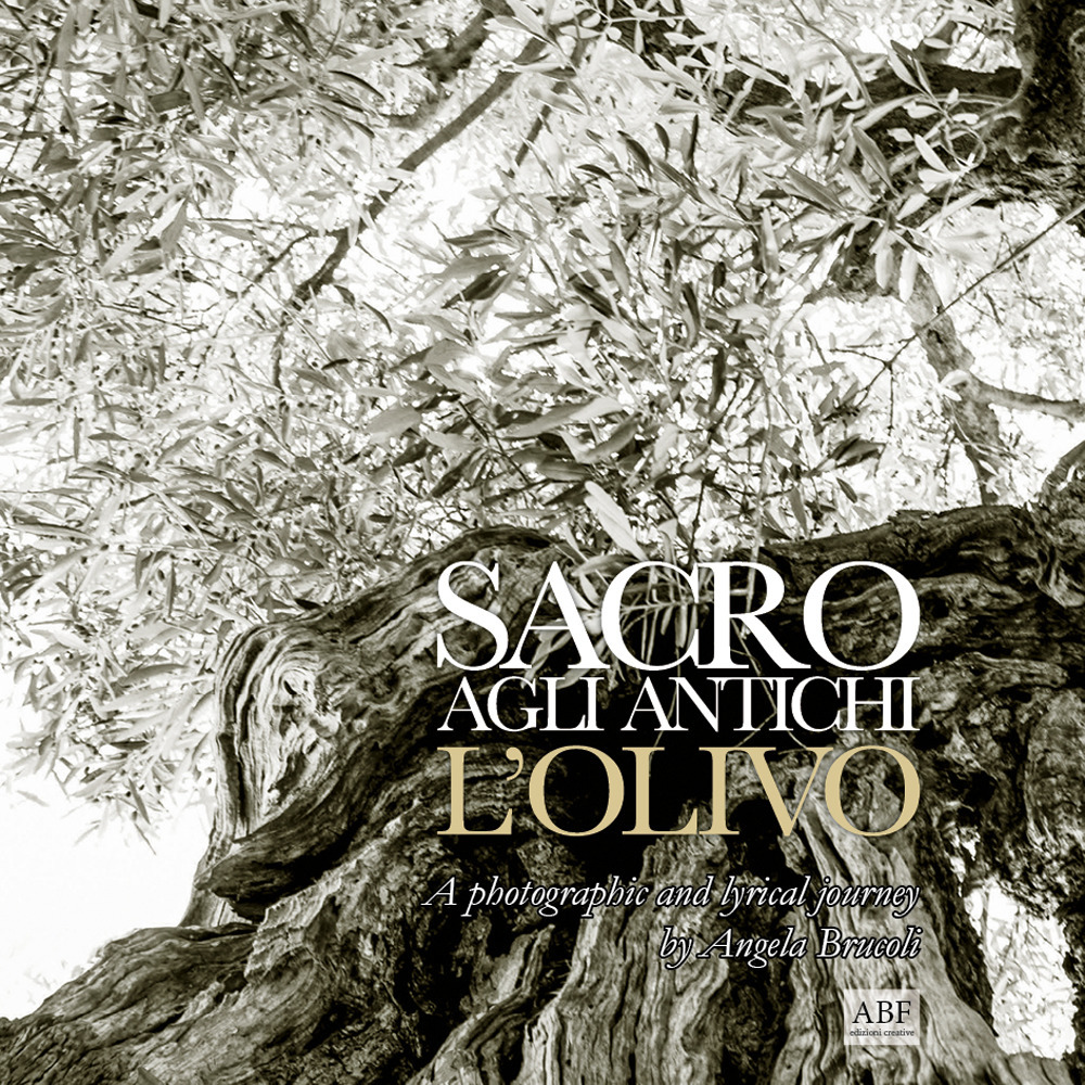 Sacro agli antichi, l'olivo. A photographic and lyrical journey