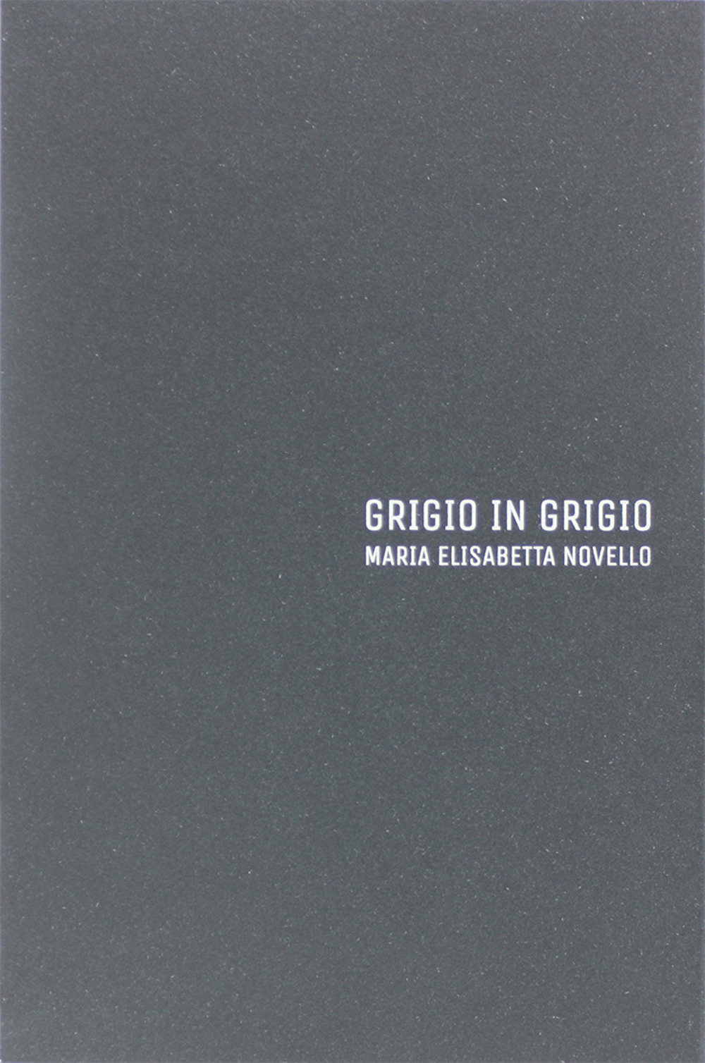 Maria Elisabetta Novello. Grigio in grigio. Catalogo della mostra (Gorizia, 12 luglio-21 settembre 2018). Ediz. italiana e inglese