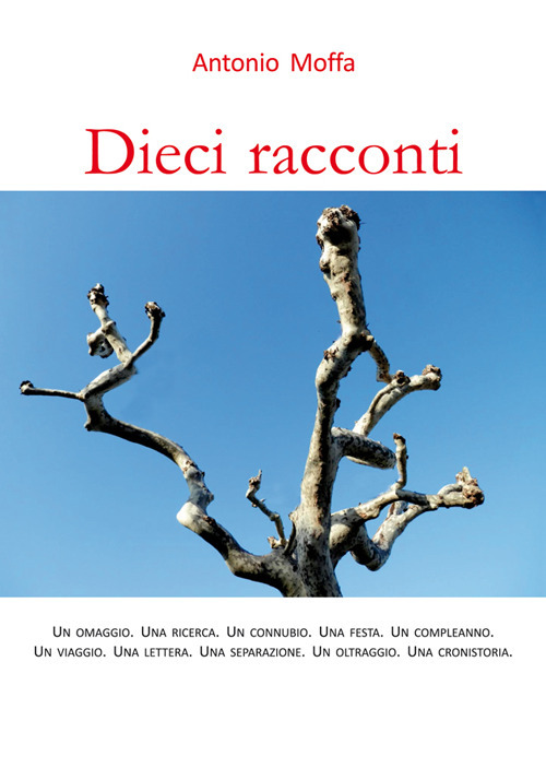 Dieci racconti. Un omaggio. Una ricerca. Un connubio. Una festa. Un compleanno. Un viaggio. Una lettera. Una separazione. Un oltraggio. Una cronistoria