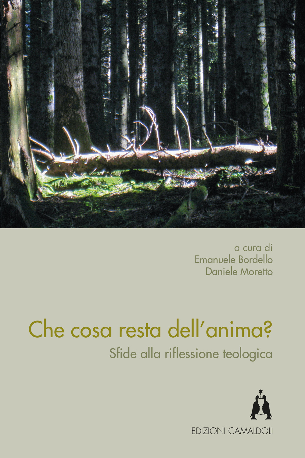 Che cosa resta dell'anima? Sfide alla riflessione teologica