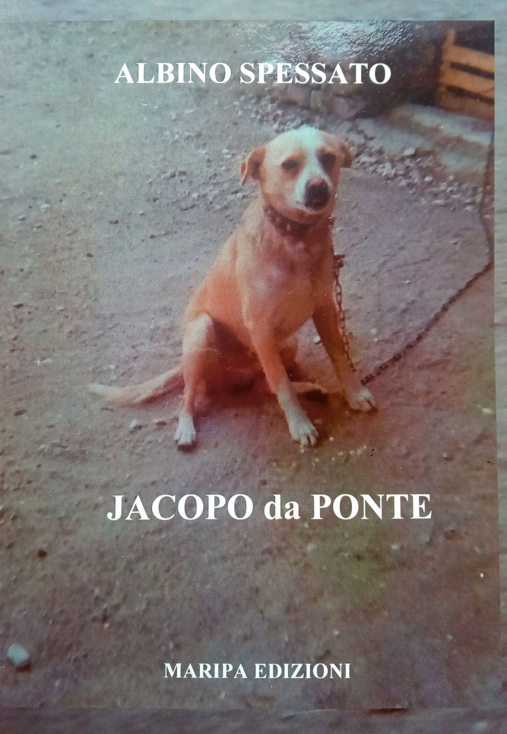 Jacopo da Ponte