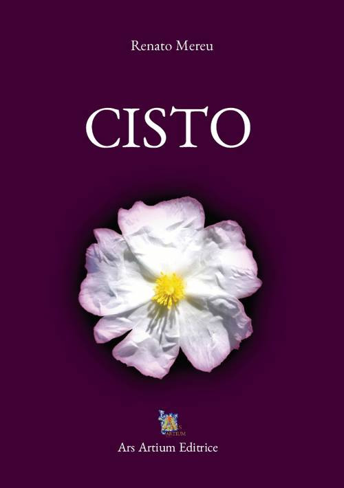 Cisto