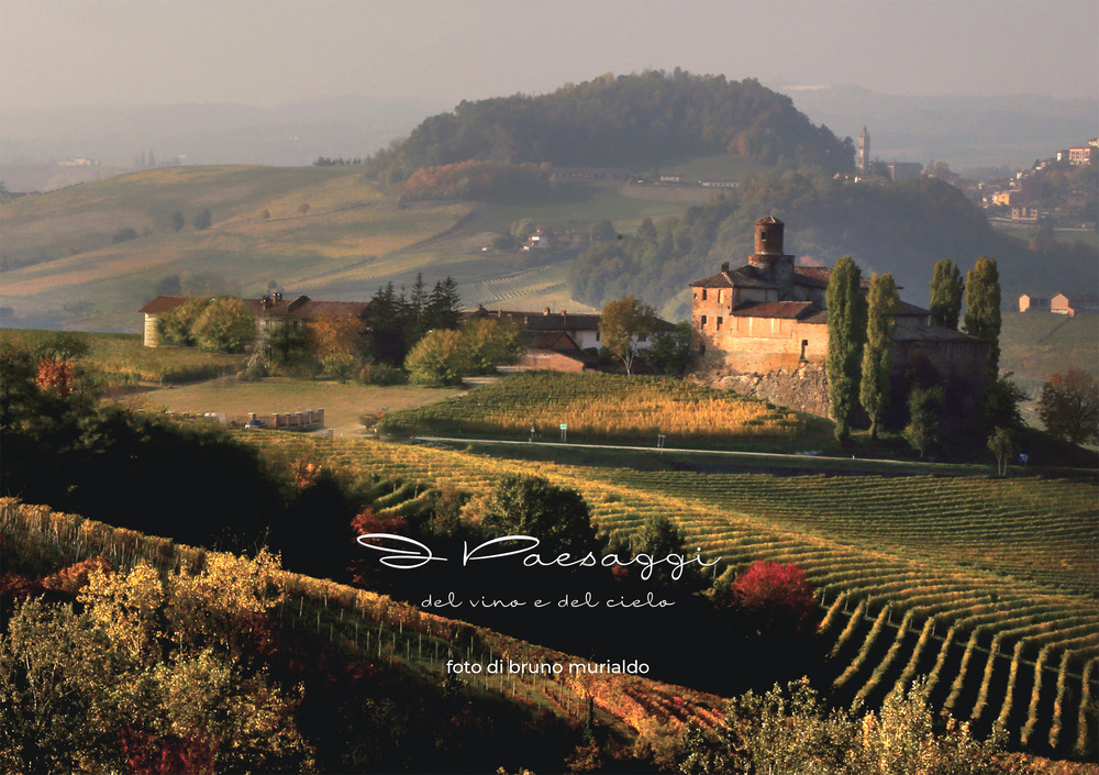 I paesaggi del vino e del cielo. Ediz. italiana, inglese e tedesca