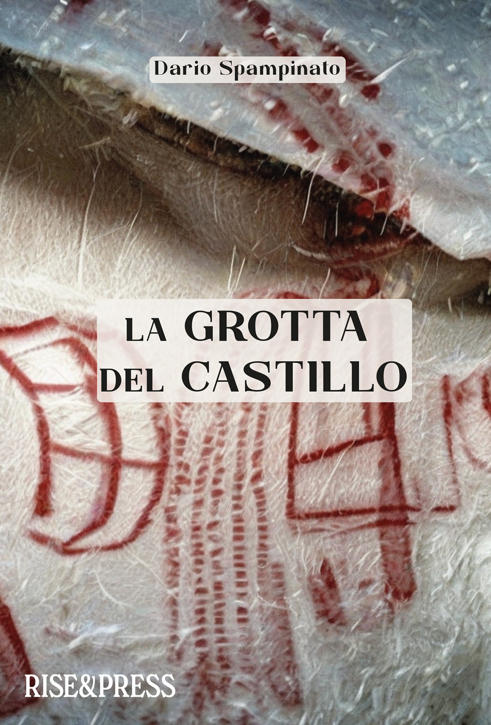 La grotta del castillo