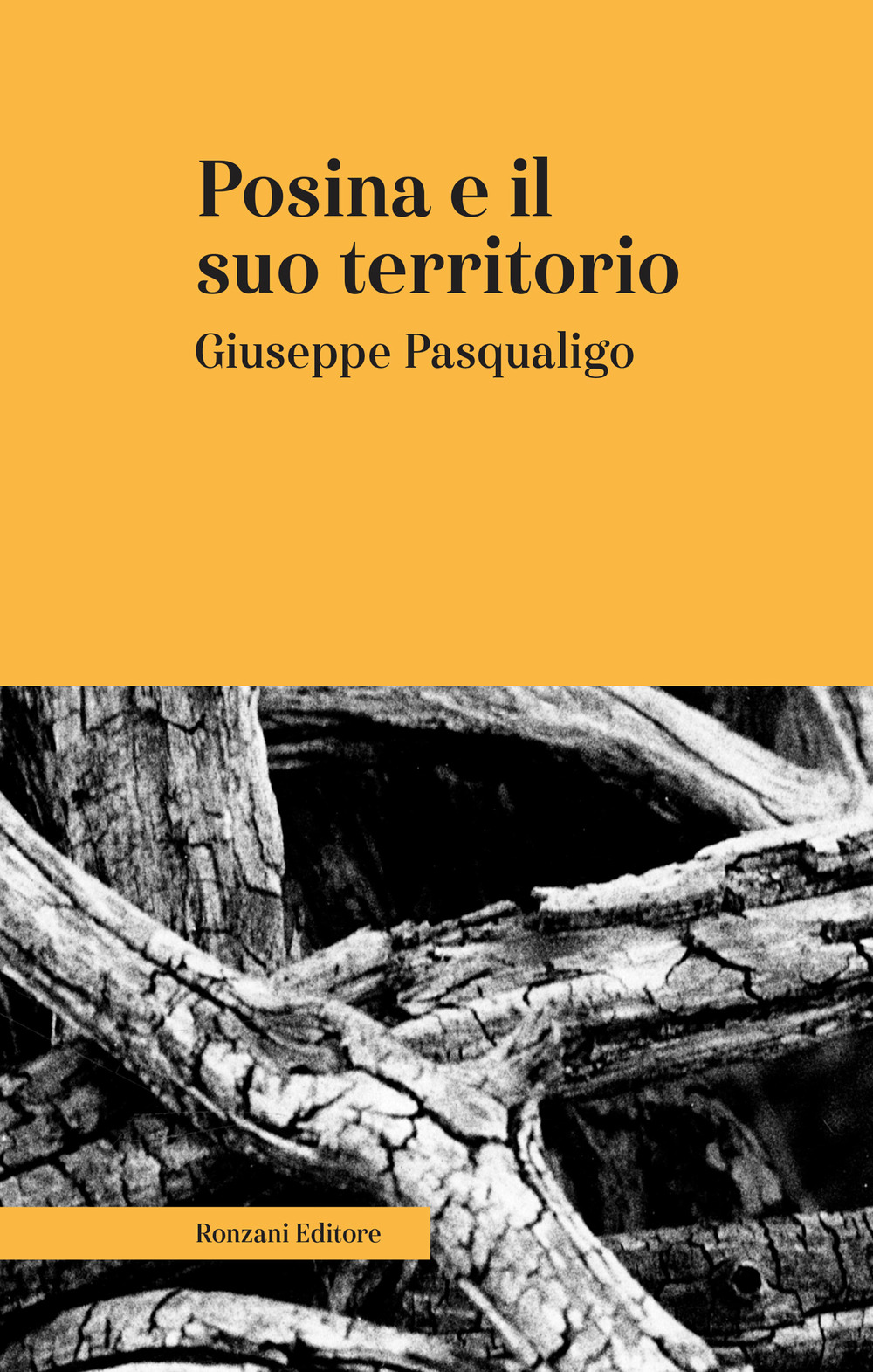 Posina e il suo territorio. Nei rapporti fisio-medico-storico-statistici. Ediz. integrale