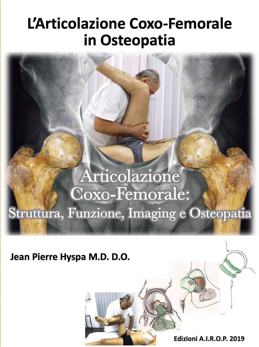 L'articolazione coxo-femorale in osteopatia. Articolazione coxo-femorale: struttura, funzione, imaging e osteopatia