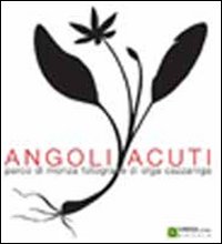 Angoli acuti. Ediz. illustrata