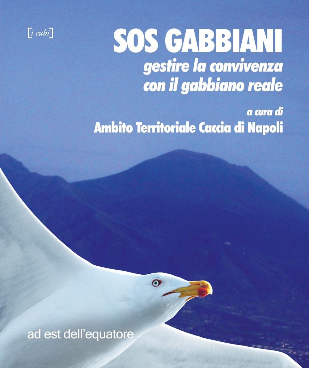 SOS gabbiani. Gestire la convivenza con il gabbiano reale