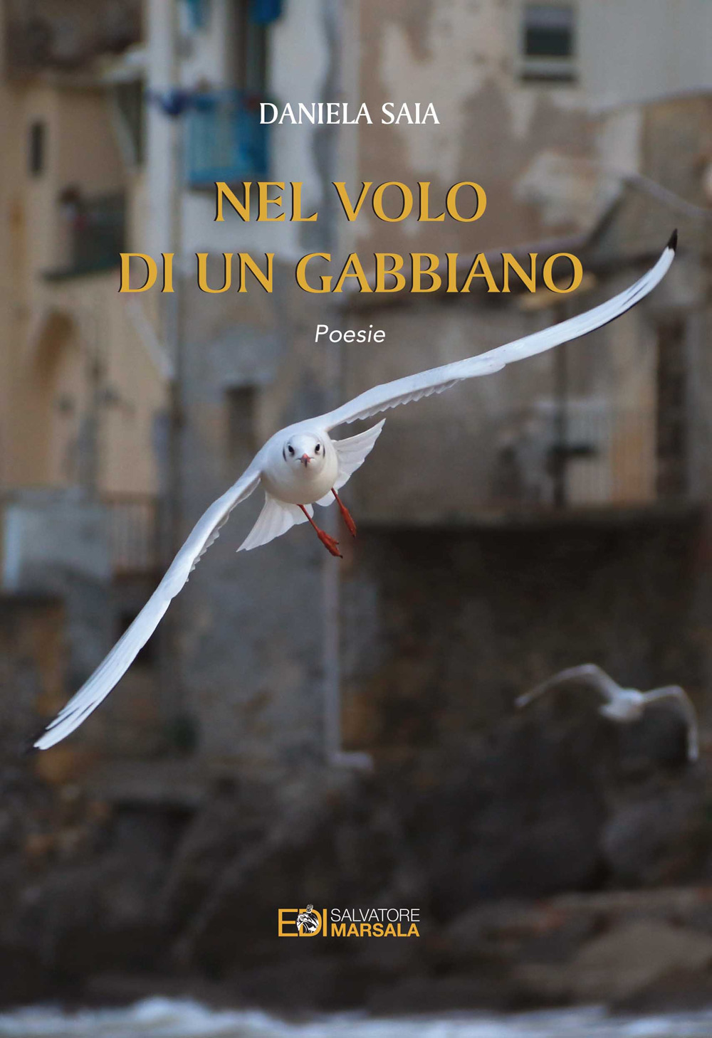 Nel volo di un gabbiano