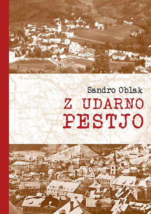 Z udarno pestjo. Odnos ljudske oblasti do resnicnih in namisljenih domacih nasprotnikov na Idrijskem in Cerkljanskem (1943-1950)