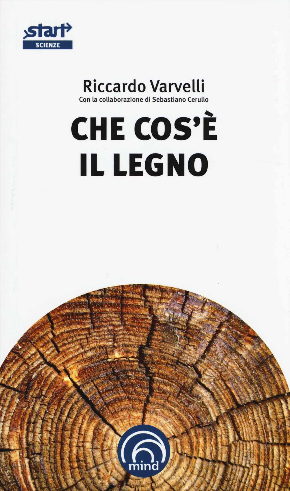 Che cos'è il legno