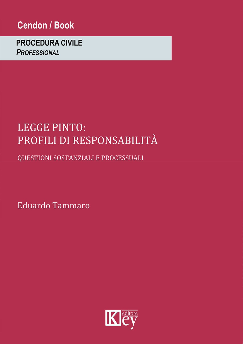 Legge Pinto. Profili di responsabilità