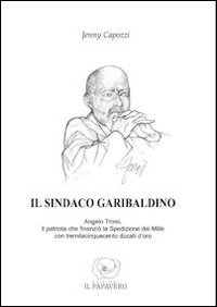 Il sindaco garibaldino. Angelo Troisi, il patriota che finanziò la spedizione dei Mille con tremilacinquecento ducati d'oro