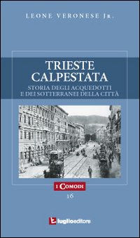 Trieste calpestata. Storia degli acquedotti e dei sotterranei della città