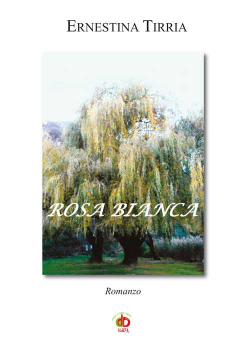 Rosa bianca