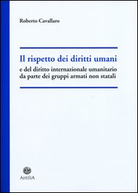 Il rispetto dei diritti umani e del diritto internazionale umanitario da parte dei gruppi armati non statali