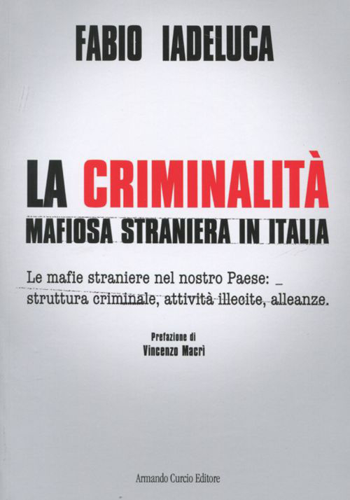 La criminalità mafiosa straniera in Italia. Le mafie straniere nel nostro paese: struttura criminale, attività illecite, alleanze